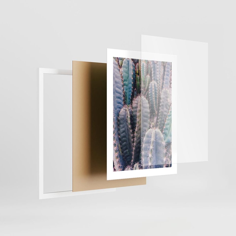 Plakat w ramie 30x40 - Kaktusowy Raj - kaktusy, dużo kaktusów - rama biała