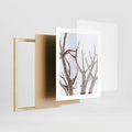 Plakat w ramie 40x50 - Pustynna Harmonia Gałęzi - pustynna roślina, suche gałęzie - rama drewno