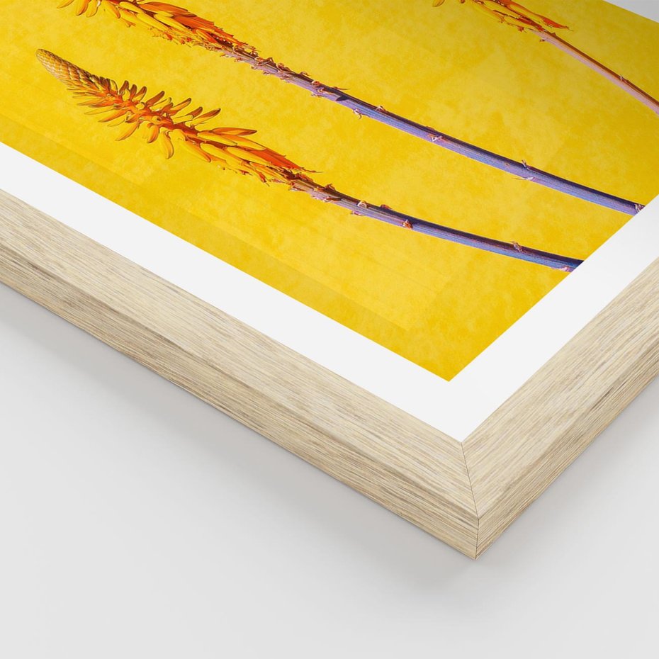 Plakat w ramie 30x40 - Radość Natury - kolor, kwiaty - rama drewno