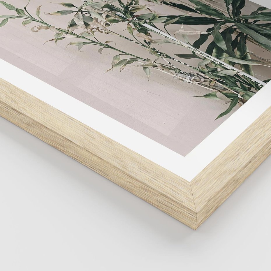 Plakat w ramie 50x70 - Egzotyczna Kompozycja - liście, rośliny tropikalne na tle ściany - rama drewno