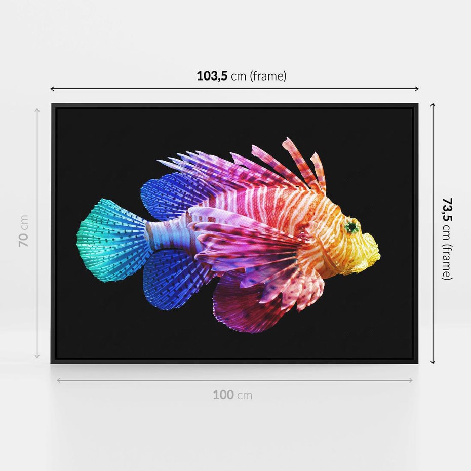 Obraz w ramie 100x70 - Tęczowa Piękność - kolorowa tęczowa ryba, mocny akcent na czarnym tle - rama czarna