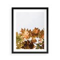 Plakat w ramie 40x50 - Suche Żółte Liście w Malowniczym Ujęciu - liście, żółte - rama czarna