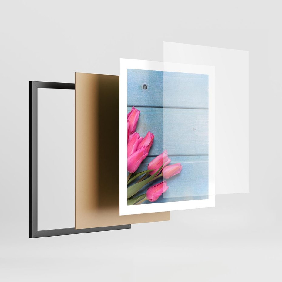 Plakat w ramie 40x50 - Piękno w pełnym rozkwicie - kwiaty, tulipany - rama czarna