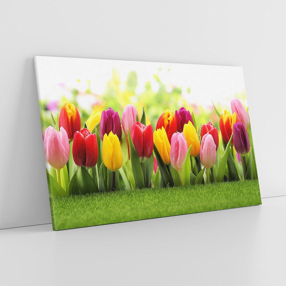 Obraz na płótnie 120x80 - delikatność kwiatowego świata - tulipany, kwiaty