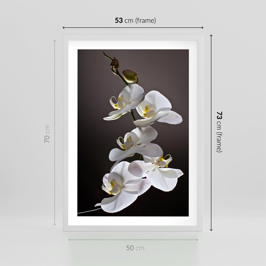 Plakat w ramie 50x70 - SPA: harmonia z kwiatami - spa, kwiaty - rama biała