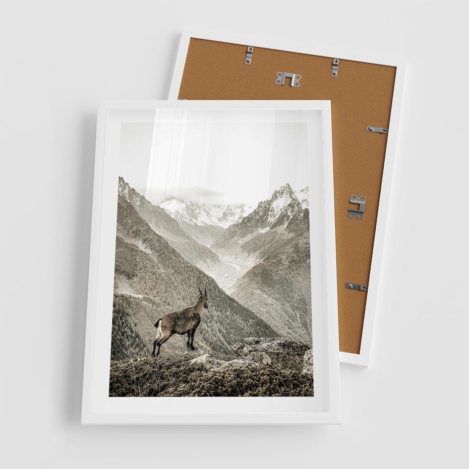 Plakat w ramie 50x70 - Dzikie Piękno: Kozica w Malowniczym Górskim Scenerii - kozica, góry - rama biała