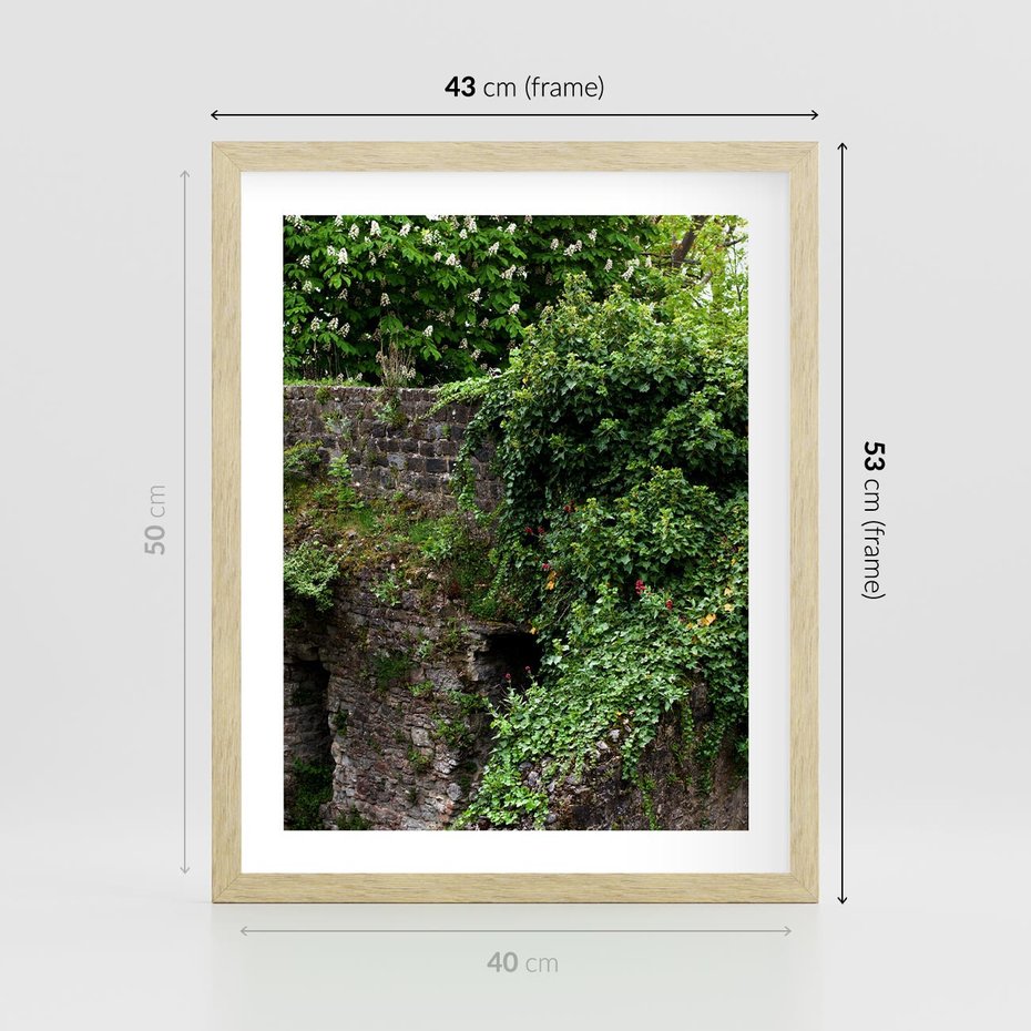 Plakat w ramie 40x50 - Żywiołowa Zieleń - mur, liście - rama drewno