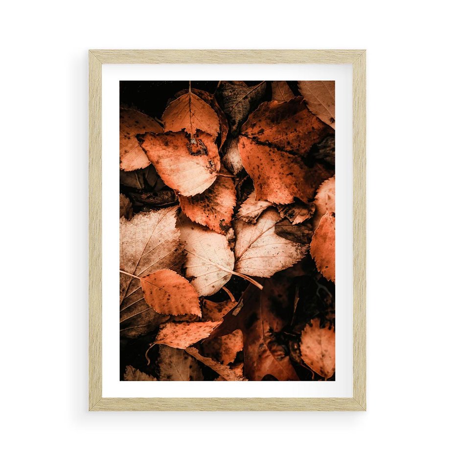 Plakat w ramie 50x70 - Jesienna Paleta - liście, jesień - rama drewno