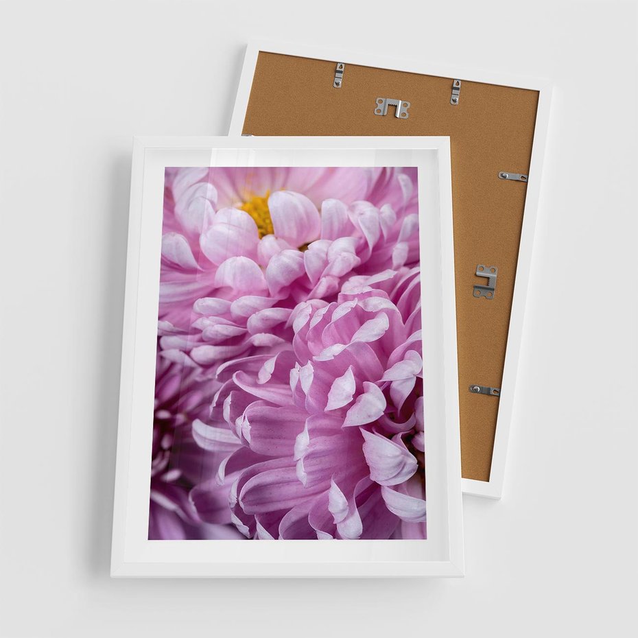 Plakat w ramie 50x70 - Fioletowy zawrót głowy - kwiat, różowy kwiat - rama biała