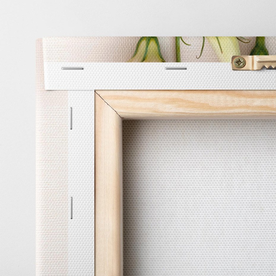 Obraz na płótnie 50x70 - Białe kwiatowe uniesienia - białe, kwiaty