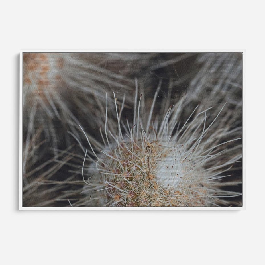 Obraz w ramie 120x80 - Ulotna Piękność Natury - makro, dmuchawce - rama biała