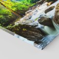 Obraz na płótnie 50x50 - Idylliczny strumyk w urokliwym lesie - strumyk, las