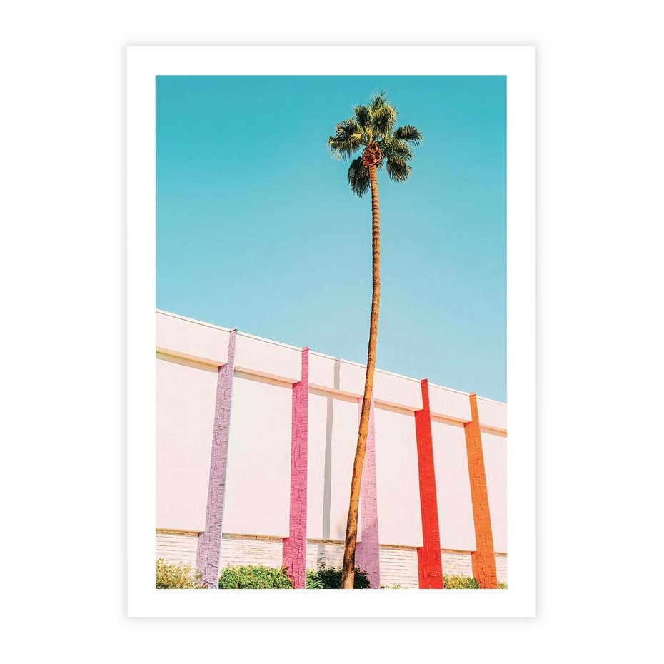 Plakat bez ramy 21x30 - Tropikalny Kontrast - palma na tle błękitnego nieba, kolorowy mur