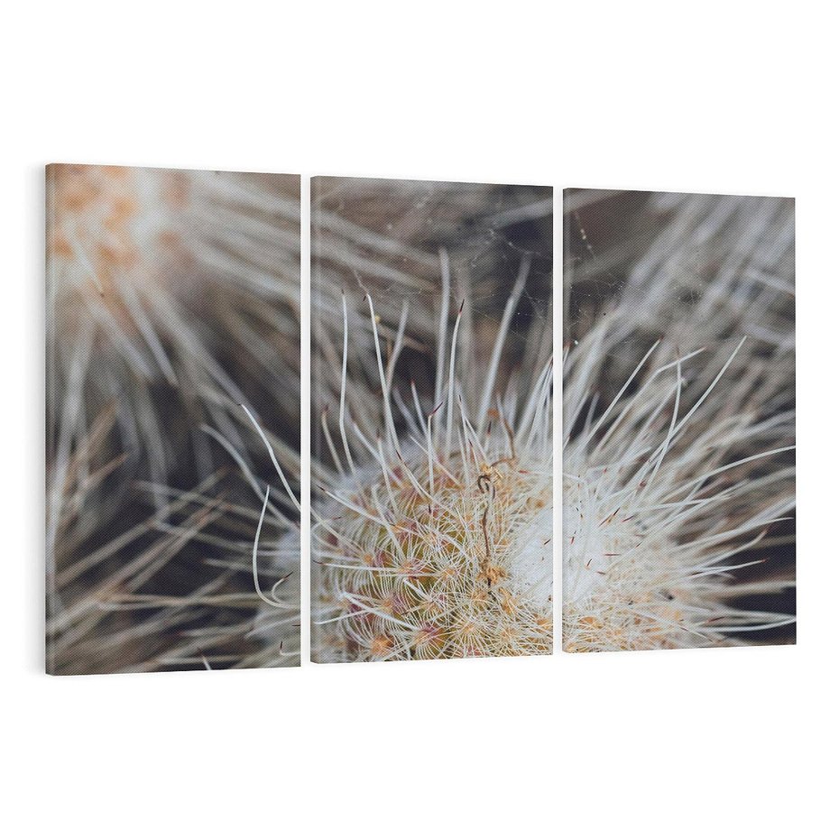 Obraz na płótnie 120x80 - Ulotna Piękność Natury - makro, dmuchawce