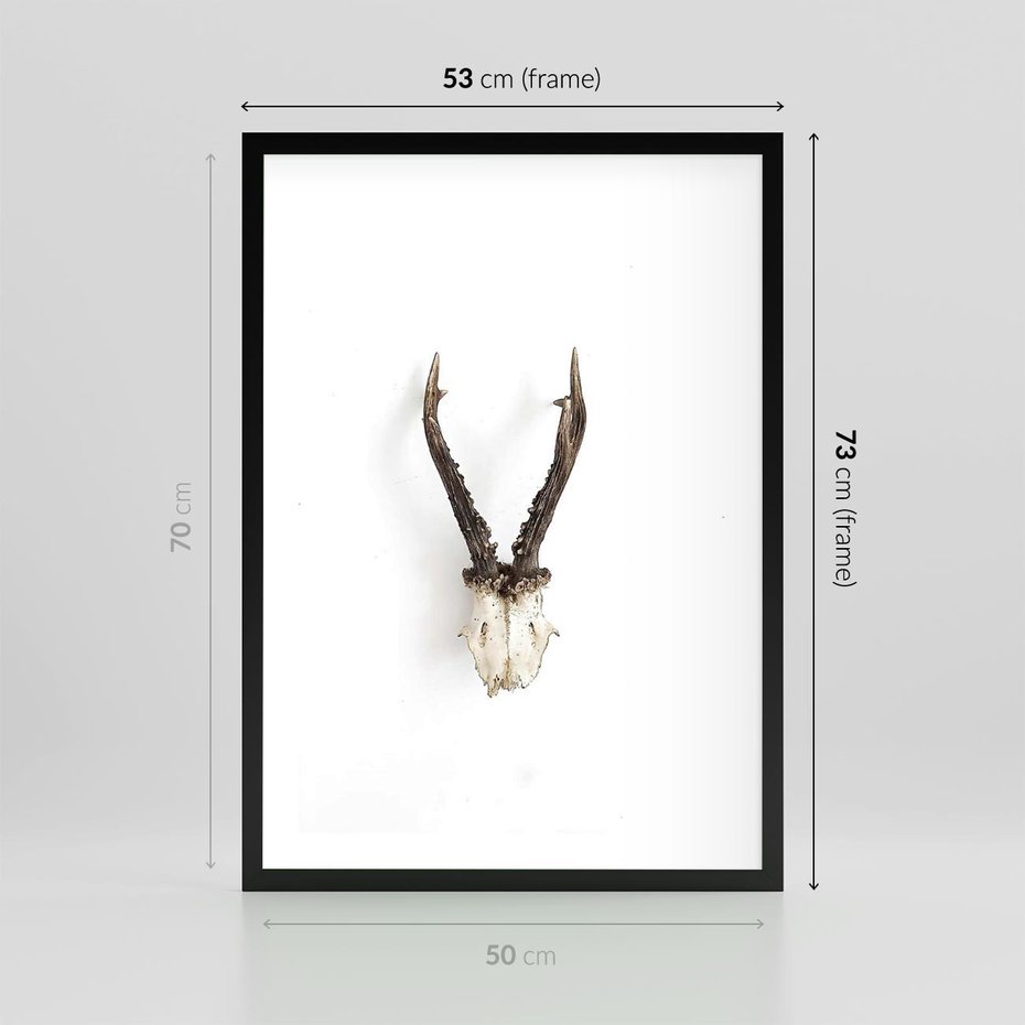 Plakat w ramie 50x70 - Minimalistyczne Poroże Jelenia - poroże jelenia na ścianie, minimalizm - rama czarna