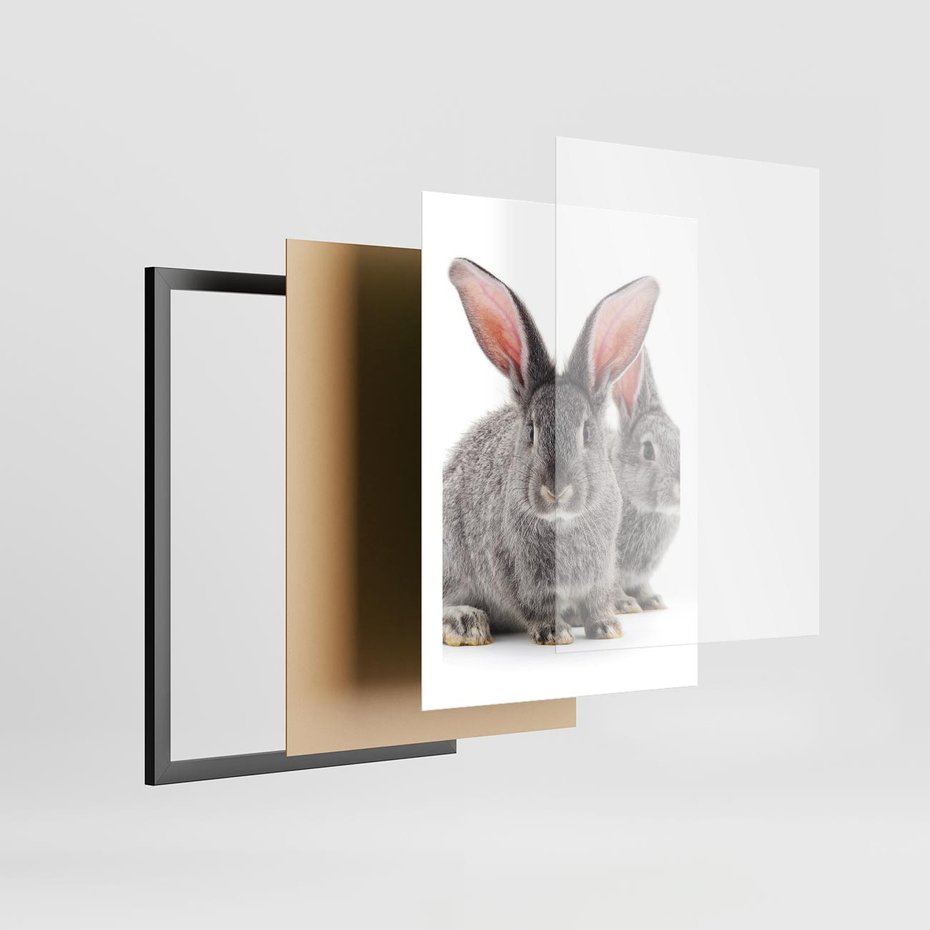 Plakat w ramie 50x70 - Uroczy królik wśród natury - królik, zając - rama czarna