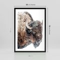 Plakat w ramie 50x70 - Obraz Dzikiej Przyrody w Śnieżnym Otoczeniu - żubr, śnieg - rama czarna