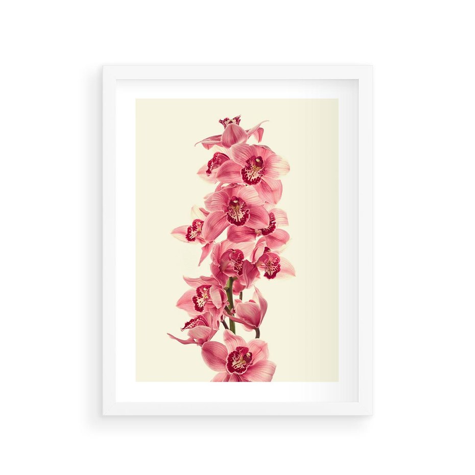 Plakat w ramie 30x40 - Orchidea w spa - relaks - orchidea, spa - rama biała
