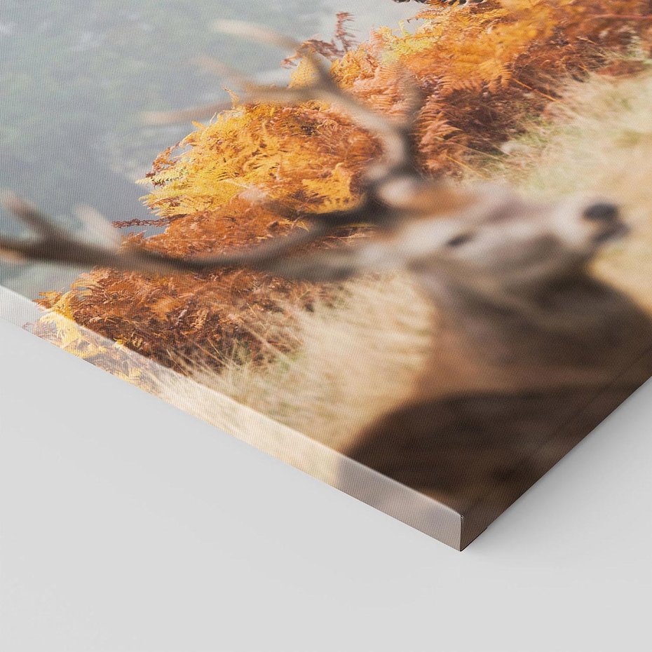 Obraz na płótnie 40x40 - Malownicza Harmonia - jelenie, jesień