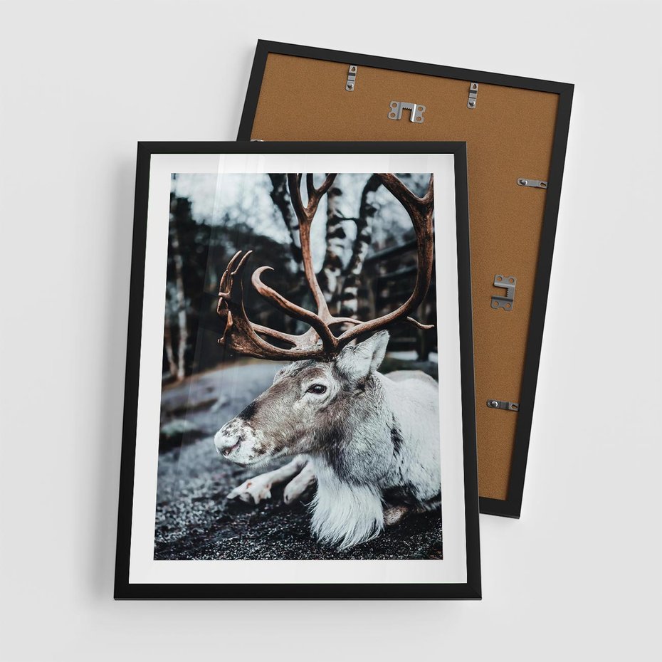 Plakat w ramie 50x70 - W Zimowej Krainie - renifer, zima - rama czarna