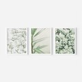 Zestaw obrazy w ramie 30x40 galeria - Liście, zieleń, minimalizm - rama biała
