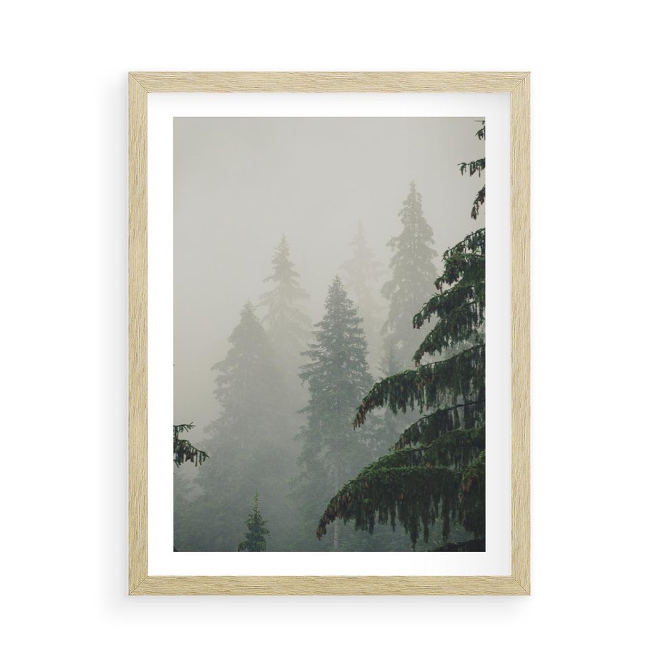 Plakat w ramie 50x70 - Mglista przemiana lasu - las, mgła - rama drewno