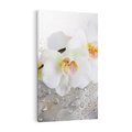 Obraz na płótnie 80x120 - Kwiatowy rój - kwiaty, kwiat