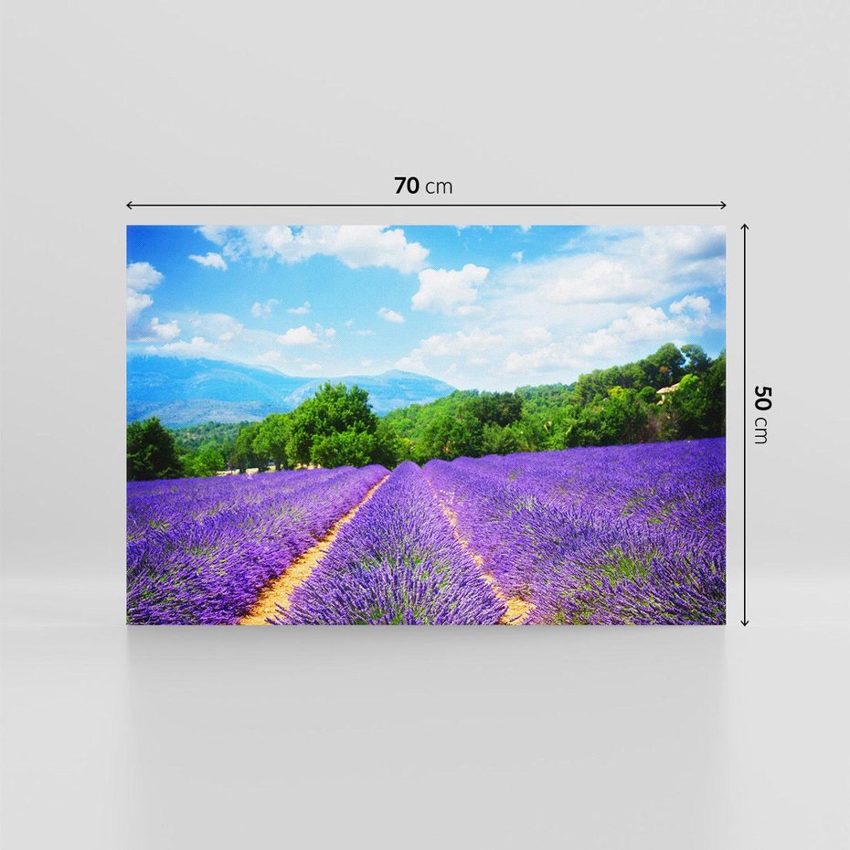 Obraz na płótnie 70x50 - Prowansalska Lawenda - lawenda, prowansja