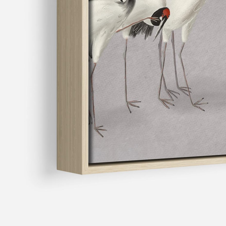 Obraz w ramie 80x80 - Spojrzenie wstecz w pędzlu - szkic rysunek, japońskie żurawie - rama drewno