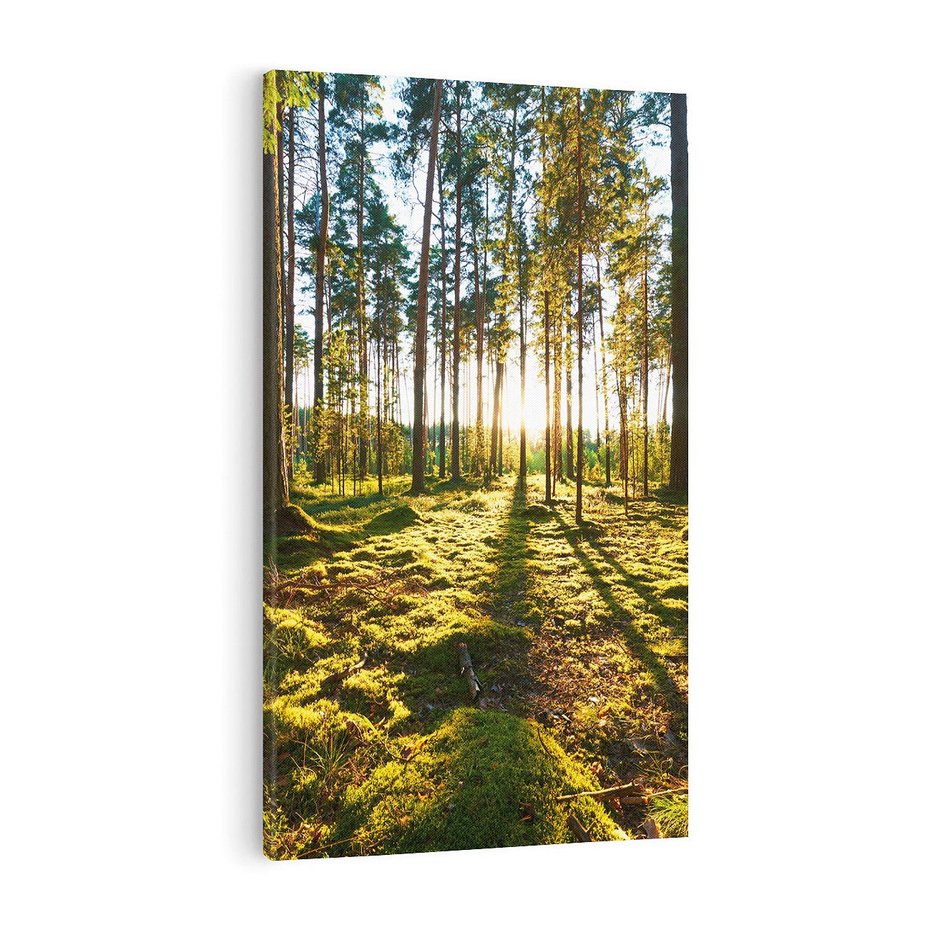 Obraz na płótnie 80x120 - Obfitość natury - las, drzewa
