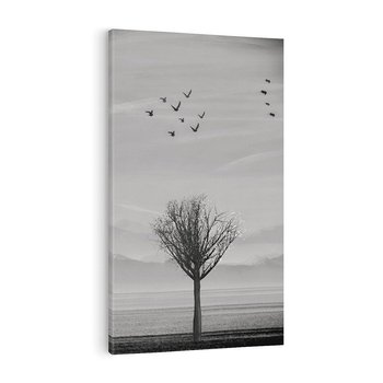 Obraz na płótnie 80x120 - Samotne Drzewo - samotne drzewo w polu, czarno białe zdjęcie