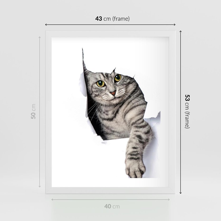 Plakat w ramie 40x50 - Tajemniczy kot i jego świat - kot, dziura - rama biała