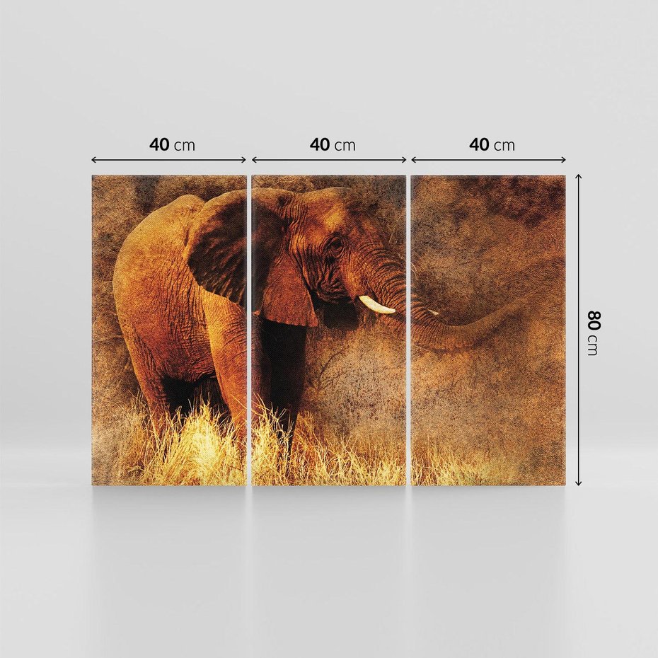 Obraz na płótnie 120x80 - Sztuka abstrakcyjna: Słoń - słoń, sztuka