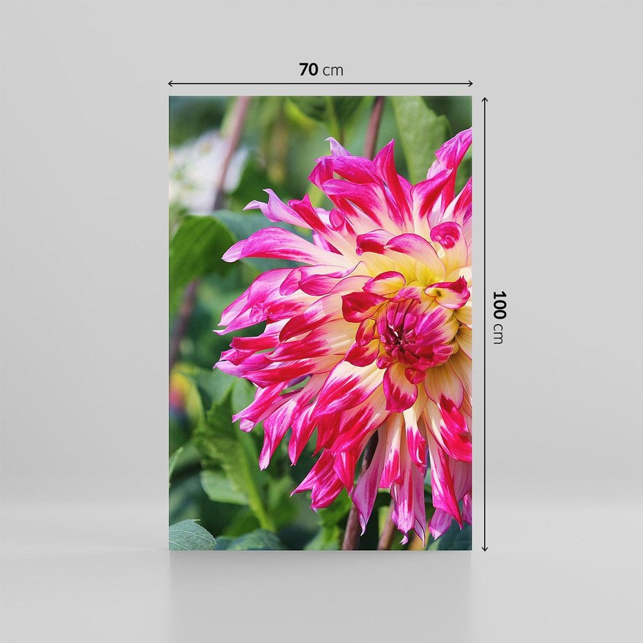 Obraz na płótnie 70x100 - Kwiatowe impresje natury - kwiat, kwiaty