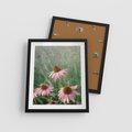 Plakat w ramie 40x50 - Natura w Pełnym Blasku - kwiaty na łące, różowe kwiaty polne - rama czarna