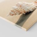 Obraz na płótnie 70x50 - Urok plażowej muszelki - fotografia, muszla na plaży