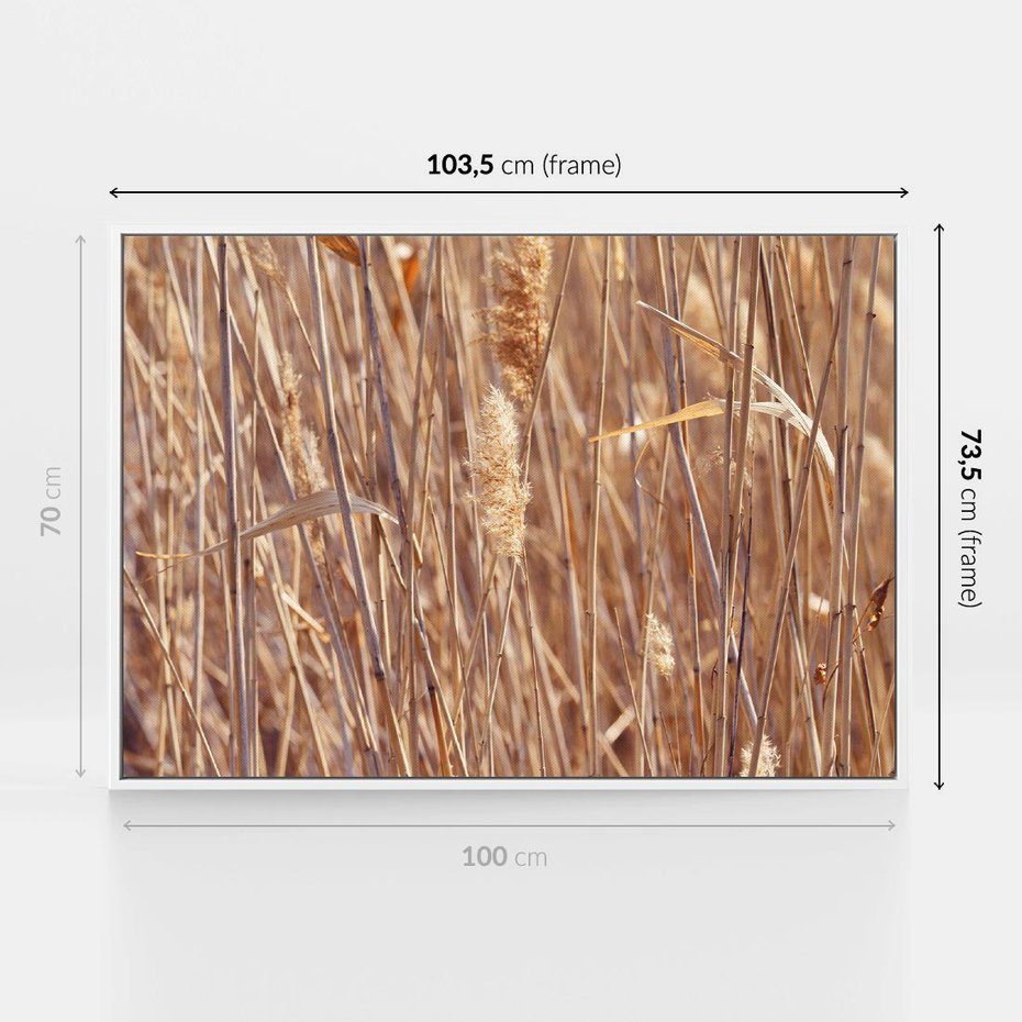 Obraz w ramie 100x70 - Mistrzowskie suche trawy - suche, trawy - rama biała