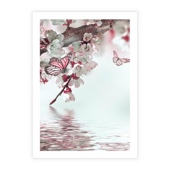 Plakat bez ramy 21x30 - Kwiatowa baśń z motylami - kwiaty, motyle