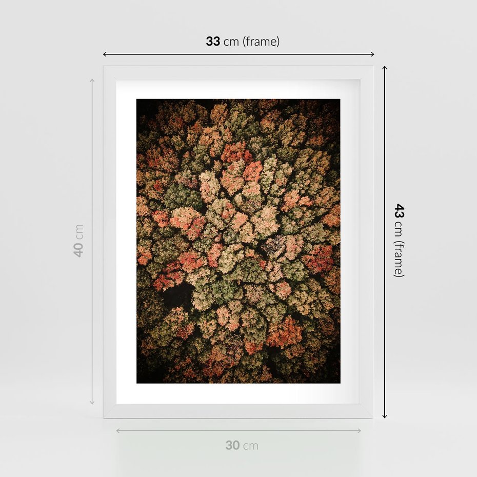 Plakat w ramie 30x40 - Jesień z Lotu Ptaka: Malowniczy Las - las jesienią z lotu ptaka - rama biała