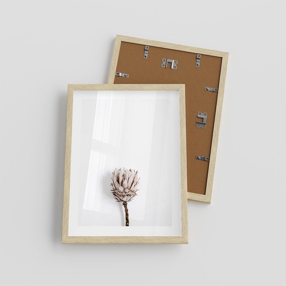 Plakat w ramie 30x40 - Suszona Roślina na Białym Tle - minimalizm, suszona roślina - rama drewno