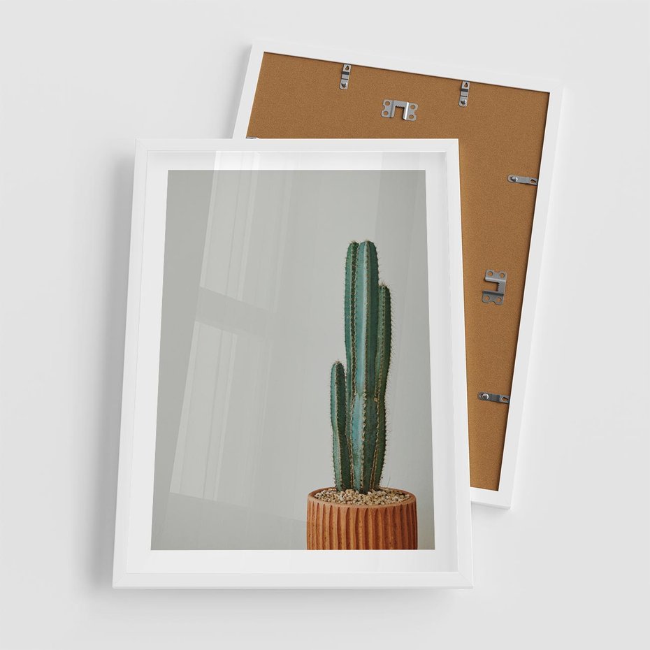Plakat w ramie 50x70 - Zieleń i Subtelność - kaktusy, liście - rama biała