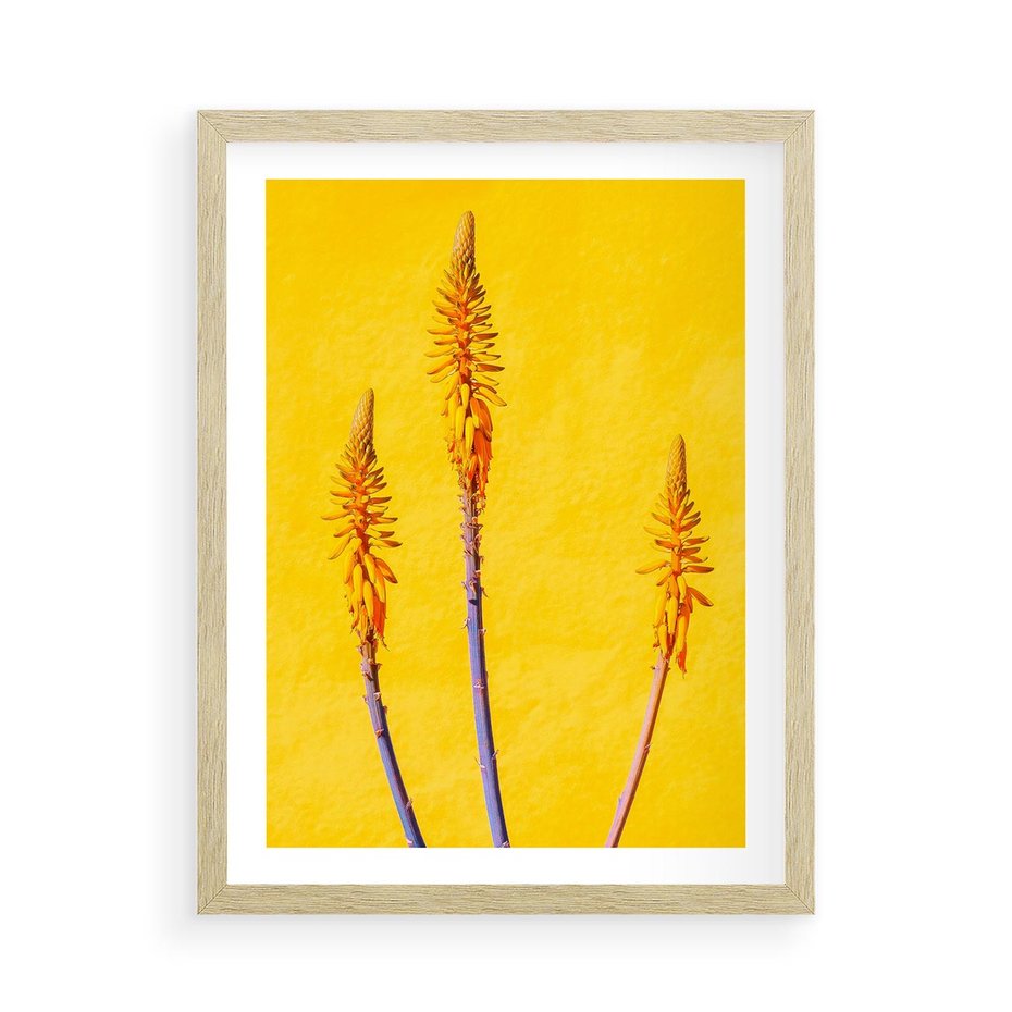 Plakat w ramie 50x70 - Radość Natury - kolor, kwiaty - rama drewno