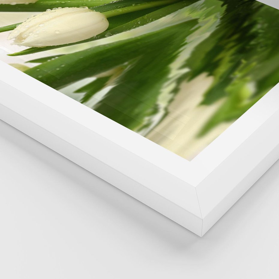 Plakat w ramie 40x50 - Białe Piękno - białe, tulipany - rama biała