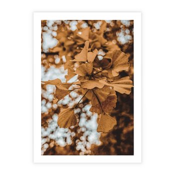 Plakat bez ramy 30x40 - Nostalgiczny Miłorząb - miłorząb, liście