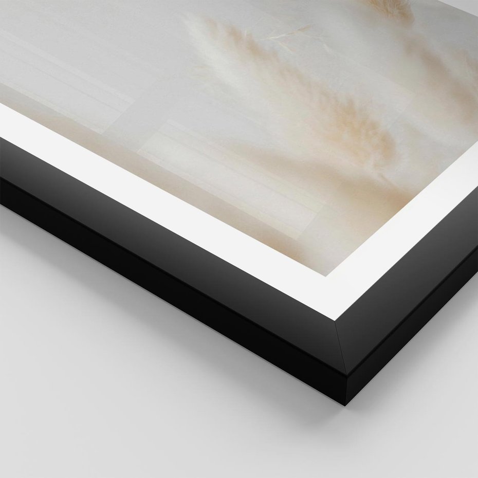 Plakat w ramie 50x70 - Biały Spokój - białe trawy, suche trawy pampas - rama czarna