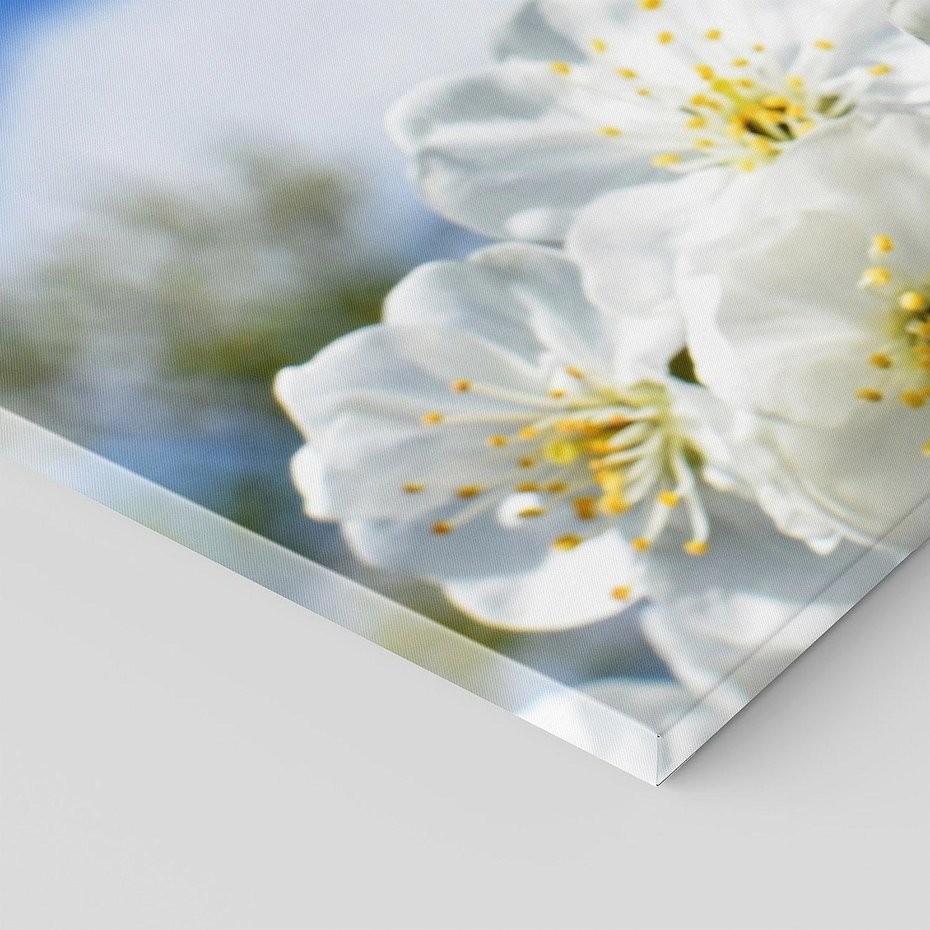 Obraz na płótnie 140x70 - Kwiatowa harmonia natury - kwiat, kwiaty