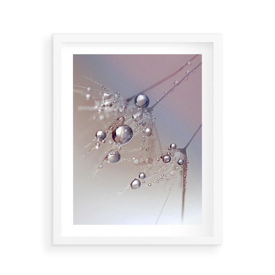 Plakat w ramie 40x50 - Delikatne Natchnienie - krople, dmuchawce - rama biała
