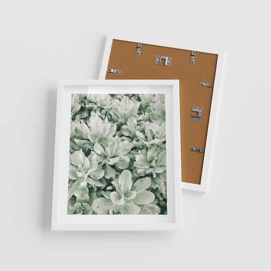 Plakat w ramie 40x50 - Liście w Jasnych Odcieniach Zielonego - liście, jasna zieleń fotografia - rama biała