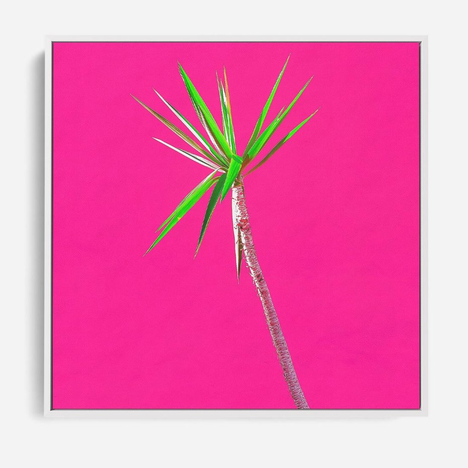 Obraz w ramie 50x50 - Retro Stylizacja - palma, liście - rama biała