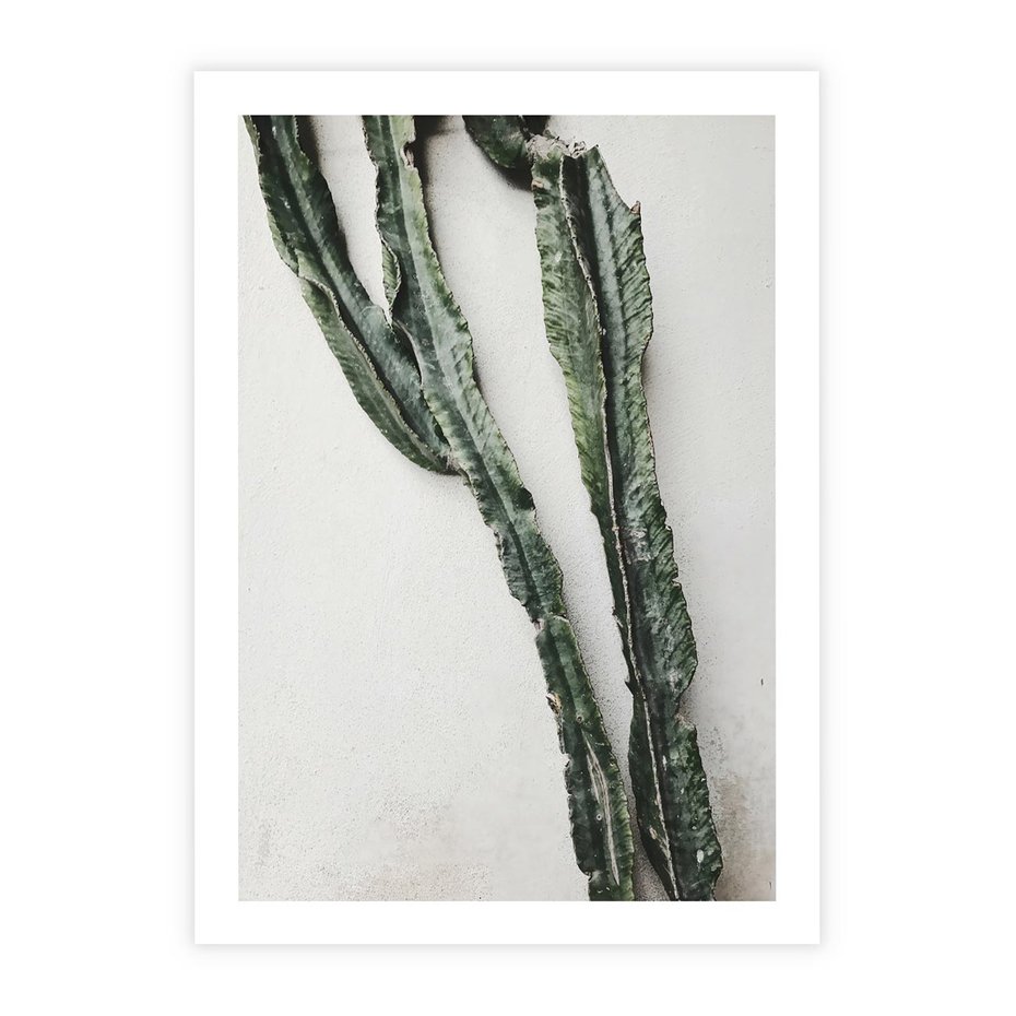 Plakat bez ramy 21x30 - Zielona Roślina z Liśćmi - zielona roślina, liście